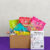 In-Joy® Fruit Fantasy Pack