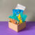 In-Joy® Mini Box – Gum Focus